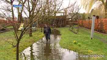 10 inwoners van Tremelo kunnen gratis beroep doen op regenwatercoach - ROB-tv