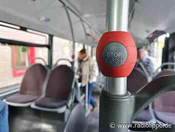 Detmold: Grüne in Lippe demonstrieren gegen das Ende des 9-Euro-Ticktes - Radio Lippe