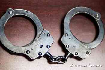 $1M in marijuana, ecstasy seized in St. Clair County narcotics investigation - MLive.com