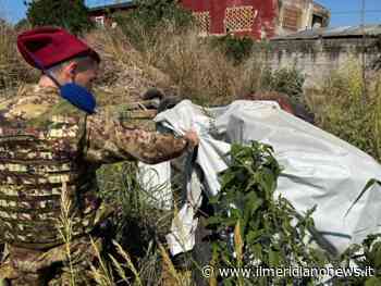 Terra dei fuochi, controlli a tappeto tra Napoli e Caserta: sanzioni per 70mila euro - Il Meridiano News