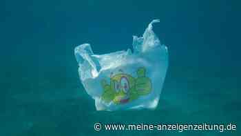 Kein Schutz für die Hochsee: Konferenz ohne Ergebnis