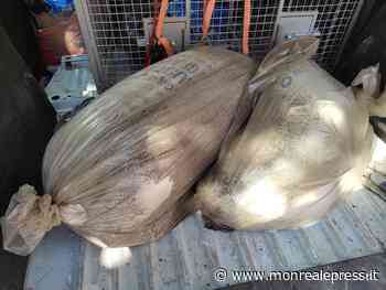 Monreale, è di nuovo emergenza bocconi avvelenati, questa volta in una riserva - Monreale Press