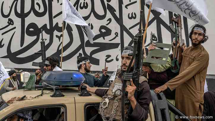 World 'less safe' with Afghanistan under Taliban: 'Hostile medieval death cult' complicates global security
