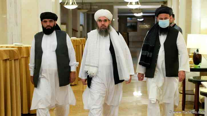 Afghanistan can be stabilized and America's first step should be with mining