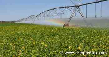 Por falta d'água, irrigação de Morada Nova está parando - Compre Rural