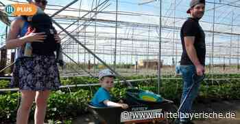 In Erlangen gibt es Obst und Gemüse zum Selbsternten - Mittelbayerische Zeitung
