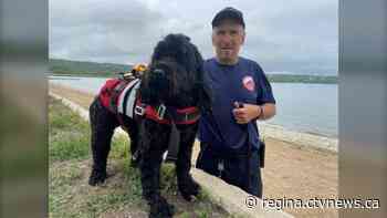 Paws on patrol: Dogs playing important roles in workforce