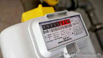 Energiekrise durch Ukraine-Krieg: Europäischer Gaspreis steigt auf Rekordhoch - Wirtschaft - Tagesspiegel