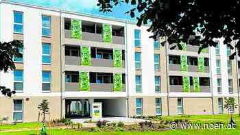 Horn - WAV-Bau in der Zielgeraden - NÖN.at