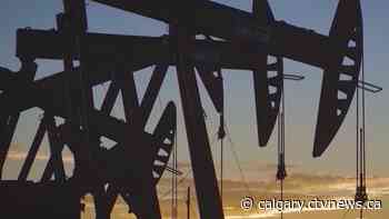 Ottawa a common target among UCP leadership hopefuls | CTV News - CTV News Calgary