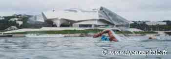 Un week-end de natation à Lyon avec l'Open Swim Stars - Lyon Capitale