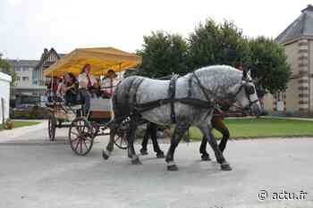 Près de Lyon. Ils disent stop aux calèches tirées par des chevaux "réduits en esclavage" - actu.fr