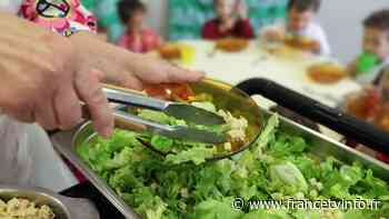 Rentrée scolaire : les cantines de Lyon vont proposer davantage de produits bio et locaux sans augmenter les prix - franceinfo