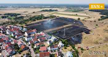 Nach Flächenbrand im Juli: Was wird aus Naturschutzgebiet in Stutensee? - BNN - Badische Neueste Nachrichten