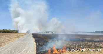 Rauchwolke über Stutensee: 110 Feuerwehrleute bei Flächenbrand im Einsatz - Feuer gelöscht - ka-news.de