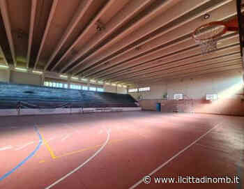 Vimercate: la Dipo Basket non vede l'ora di giocare la Serie C all'Omnicomprensivo - Il Cittadino di Monza e Brianza