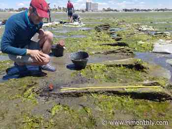 Rhode Island Whaling Ship Identified Off Patagonia After Nearly Two Centuries Lost at Sea - Rhode Island Monthly