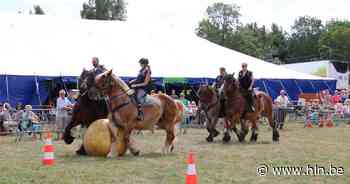 Appelse landbouwdagen terug van weggeweest na twee jaar corona - Het Laatste Nieuws