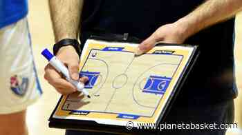 A2 Femminile - Halley Thunder Matelica: ecco lo staff tecnico - Pianetabasket.com