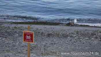 Ukraine-Krieg: Ukraine erhält Unterwasserdrohnen – Russland verlegt Waffen auf die Krim