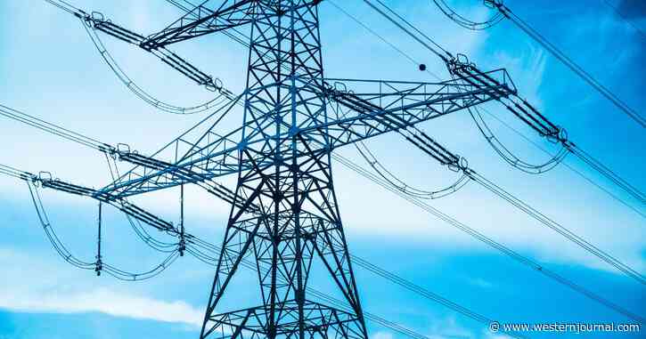 Report: Americans Could See Mass Power Shutoffs - Experts Sound Off on Alarming New Data