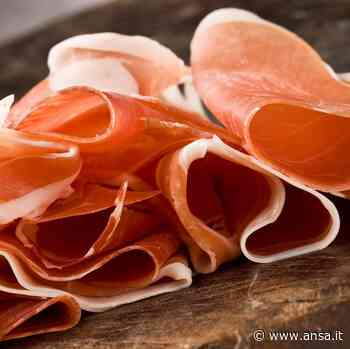 Nasce il Distretto del cibo del prosciutto di Modena Dop - Terra & Gusto - Agenzia ANSA