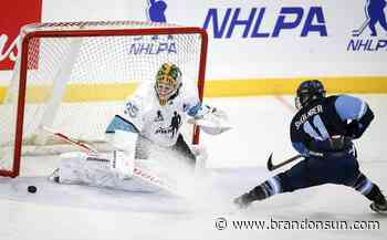 Women's professional hockey growing in North America, but in parallel universes - The Brandon Sun