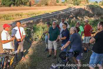 Elz-Umbau bei Kollmarsreute soll 2024 beginnen - Emmendingen - badische-zeitung.de