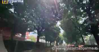 Fine agosto parmigiano, tra maltempo e controesodo - Video - Gazzetta di Parma