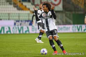 Zirkzee, è fatta con il Bologna - Forza Parma