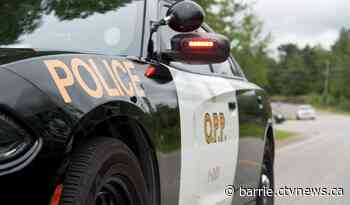 Police car rear-ended in Springwater Township