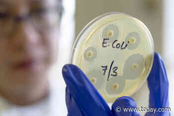 E. Coli outbreak spreads to 4 states, leaves 38 hospitalized as CDC investigates
