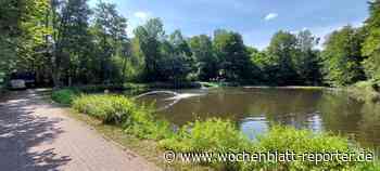 Dauereinsatz am Siegelbacher Weiher: Den Fischen geht die Luft aus - Wochenblatt-Reporter