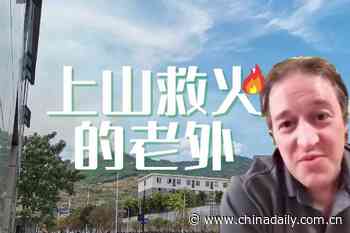 'Let's solve the wildfires together as a community': Dr Frank Stonier - China Daily