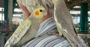 Mercatino dei piccoli animali al Miac di Cuneo - La Guida - LaGuida.it