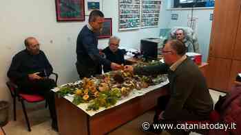 Funghi, riapre l’Ispettorato micologico dell’Asp di Catania - CataniaToday