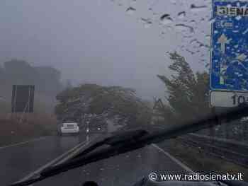 Maltempo a Siena, pioggia e vento: albero abbattuto blocca la superstrada - RadioSienaTv