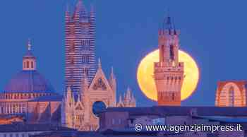 Siena e i suoi tesori. Due guide per esplorare la città in modo non convenzionale | Agenziaimpress.it - Agenzia Impress