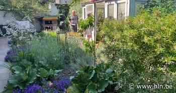 Ecologische stadstuintjes open voor publiek - Het Laatste Nieuws