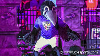 LOOK: Ravens mascot carted off field after suffering injury during halftime of NFL preseason game