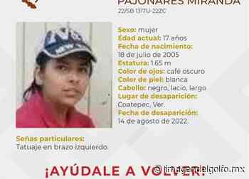 Buscan a Alondra Karen, menor de 17 años desaparecida en Coatepec - Imagen del Golfo