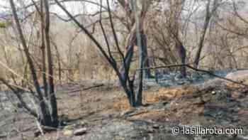 Incendio de pastizal cierra circulación en la Xalapa-Coatepec - La Silla Rota