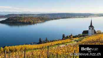 Johanniterkeller in Twann: Schweizer Weine mit Alterungspotenzial - NZZ Bellevue