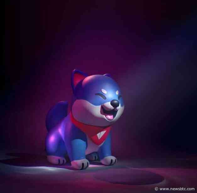 What Is Vita Inu (VINU) And Why Is The Meme Coin Up 80% In Last 24 Hours?