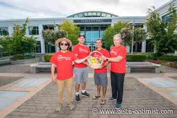 Delta hosting summer concert in Ladner Village - Delta Optimist