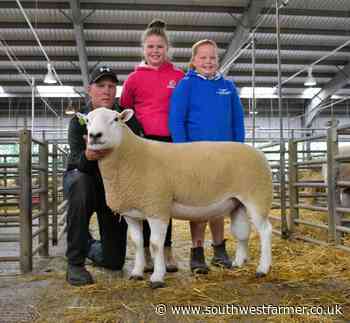 Strong trade at Lleyn sale in Exeter - South West Farmer