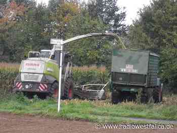 Wildkameras gegen Saboteure: Landwirte in Stemwede rüsten auf - Radio Westfalica