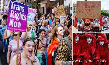 Julie Burchill reveals why she refuses to bow at the social justice warriors' altar of wokeness - Daily Mail