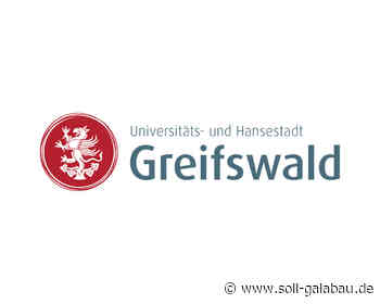 Universitäts- und Hansestadt Greifswald sucht einen Gärtner, Baumkontrolleur (m/w/d) - Beschaffungsdienst GaLaBau