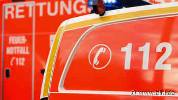 Schwer verletzt: Mädchen läuft in Marktheidenfeld auf die Straße - BILD